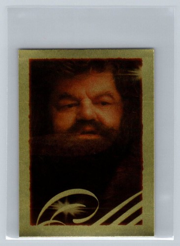 2001 Panini Harry Potter and the Philosopher's Stone Album Sticker #28 Hagrid