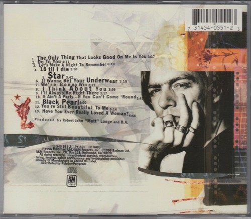 BRYAN ADAMS 18 Til I Die CD Album 1996 Let´s Make A Night To Remember Rock Hits! - Picture 7 of 7