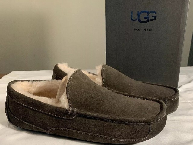 ugg ascot charcoal
