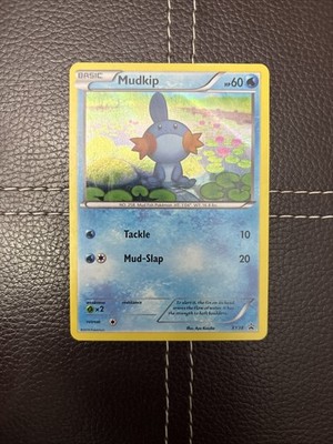 Pokemon TCG - Mudkip - XY38 - XY Promos - LP Holo Rare (2016)
