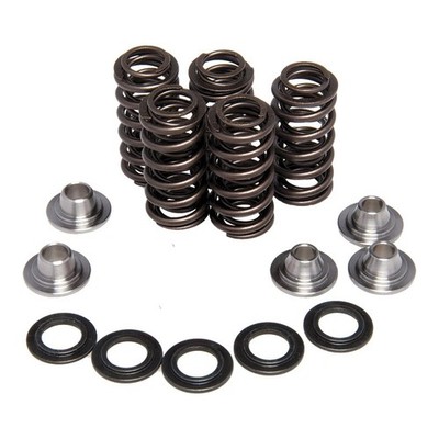 Kibblewhite Precision 30-30015 replacement valve Spring Kit