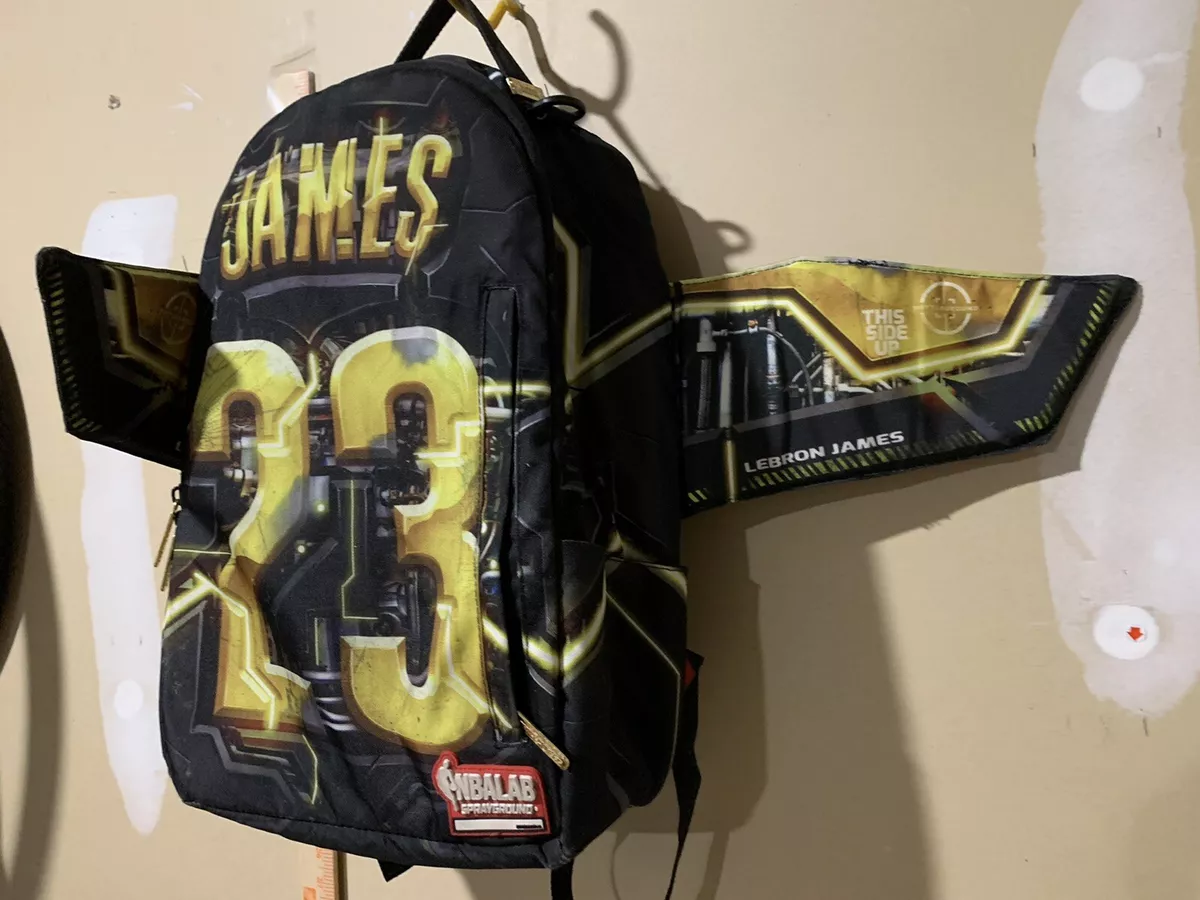 Lebron James Limited Edition backpack eBay