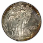 1987 1 oz American Silver Eagle - Original Toning - BU - SKU-E1408