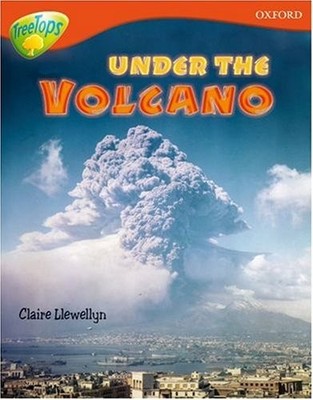 Oxford Reading Tree: Level 13: Treetops Non-Fiction: Under the V