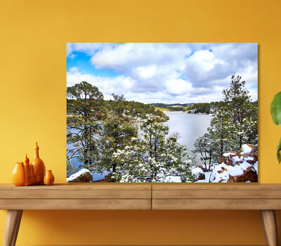 Cloudy Sky & Snowy Trees 5mm thick Plastic Poster Ready to Hang 60x45cm