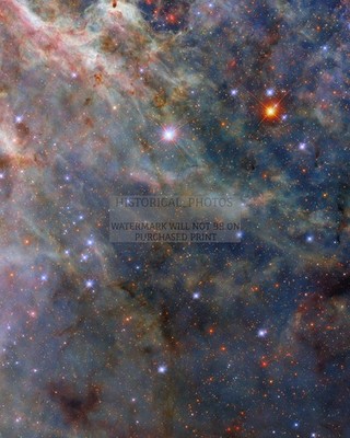 TARANTULA NEBULA STAR FORMING REGION HUBBLE PHOTO 8X10 PHOTO