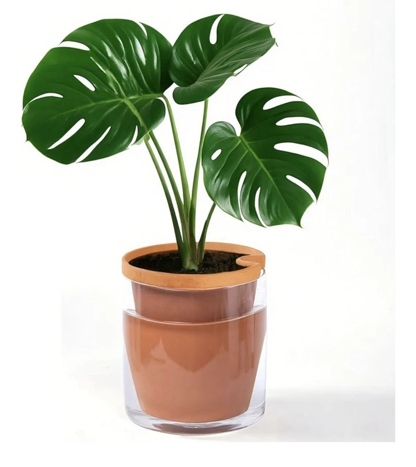 6 Inch Terracotta Clay Planter With Glass Container - Image 2 of 2