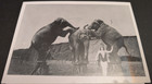 1929-CIRCUS HISTORY-ROBBINS BROTHERS CIRCUS-3 Elephants & Trainer — photo 1