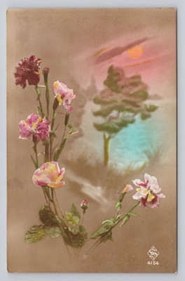 Carnation Flowers Against Landscape Hand Tinted RPPC Postcard