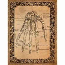 Skeletal Hand | A4 Mulberry Rice Paper | Paper for Decoupage | Halloween
