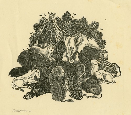 Stampa originale Master-Animali africani: elefante zebra e scimmia-malva-ca. 1950 - Foto 1 di 4