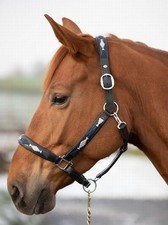 HFI Leather Halter Polo - Black + Navy + Silver Size Full/WB