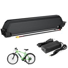 Batterie al litio Samsung 36V 48V batterie per Dorado Reention NCM Moscow Shengmilo