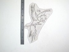 vtg 1960s 1970s Tattoo Flash acetate stencil Parrot Cuckatoo signed BR3