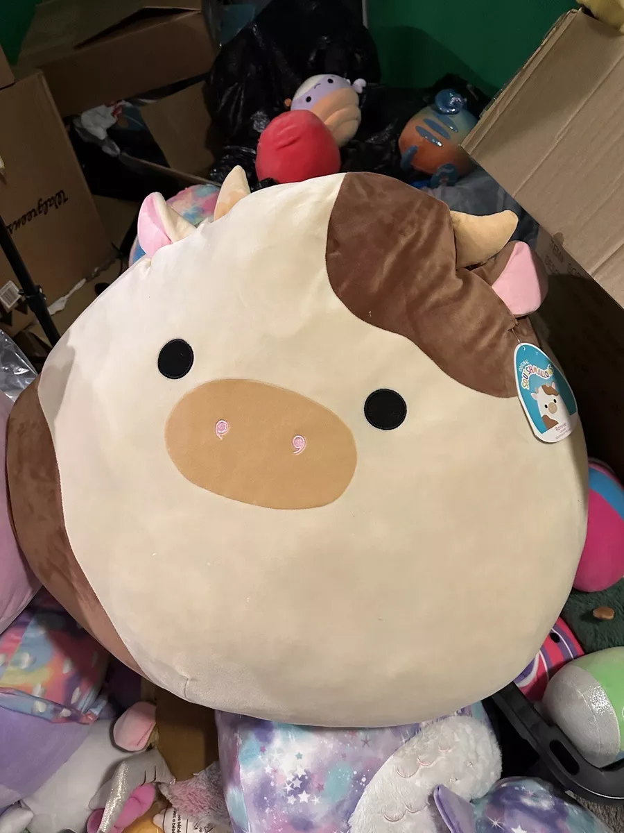 big squishmallows 24 inch