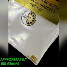 20 PIECE LOT ALASKAN YUKON BC NATURAL PURE GOLD NUGGETS (#G251)