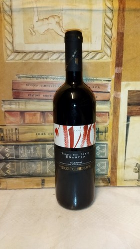 Vino 2012 Terra dei Forti Enantio Viticoltori in Avio Ager Lagari 13,5% 75cl - Foto 1 di 9