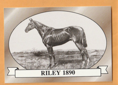 1991 Horse Star Kentucky Derby #16 Riley 5G