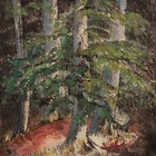 Gerhard Schulte-Dahling Forest Piece Signed Colored Etching 1940s