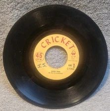 The Cricketones Born Free/ Neverland  45rpm 7" Record 
