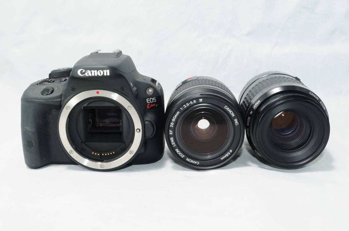 その他 Canon Kiss7 Amazon.co.jp: Canon Digital Single-Lens Reflex Camera EOS