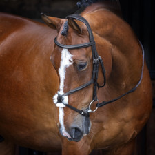 Shires Velociti Rapida Leather Grackle Bridle | 2 Colours | 4 Sizes