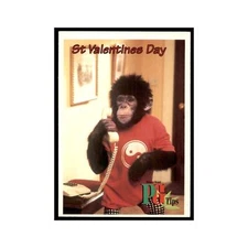 1995 PG Tips The Secret Diary of Kevin Tipps February 14 #nan