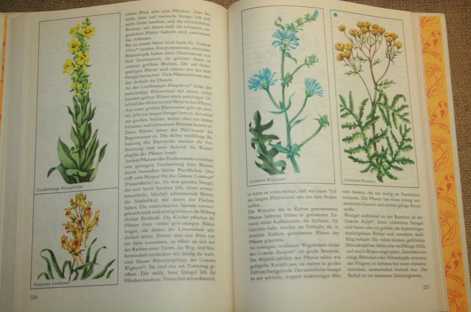 Naturbuch Gartenbuch Kindergarten Schulgarten Experimente Botanik DDR 1971 - Bild 3 von 4