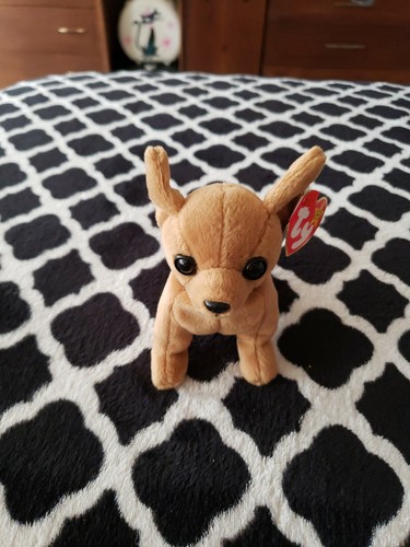 TY Beanie Baby Tiny The Chihuahua Dog With Errors *Rare* Excellent Condition! - Picture 2 of 12
