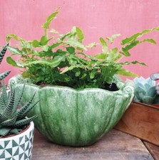 Green Shell Planter Pot Herb Bulb Plant Pot, Rustic Glaze, Vintage Style