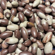 10 piezas pequeña piedra Shiva Lingam de 1” de la India - Río Narmada Alta Calidad