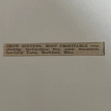 Specialty Farm Grow Ginseng Rockford MN 1940 Racine WI Clipping SAH5-S27