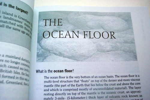 The Handy Ocean Answer Book, Basics, Shore, Ocean Floor, Maine Mammals/Fish Etc. - Imagen 10 de 10