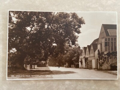 Wesley's Tree Winchelsea Postkarte