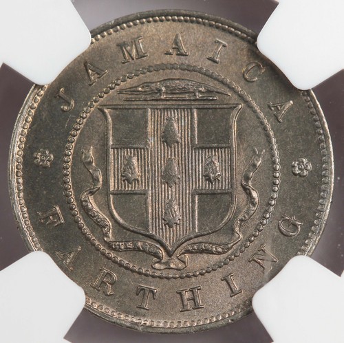 Jamaica 1910 1/4 Penny Farthing Copper-Nickel Coin NGC MS66 GEM KM#21 Edward VII - Picture 4 of 4