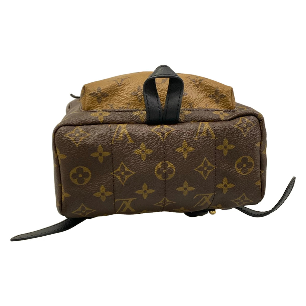 Louis Vuitton Palm Springs Backpack PM Monogram Reverse  display picture 3