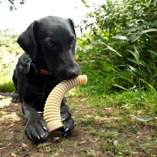 SodaPup Honey Bone Dental Antler eChew Ultra Durable Nylon Dog Chew Toy - Picture 3 of 4