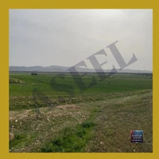 Expansive Siliana Countryside View - Ideal for Nature and Landscape Enthusiasts
