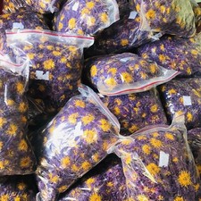 Egyptian Dried Blue Lotus Nymphaea Caerulea Hand Pick Flowers Organic Herbal Tea