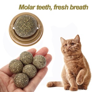 catnip ball