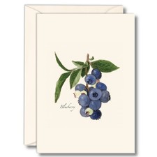 Blueberry Notecard Set 8 Blank Cards with Envelopes Stationary Gift