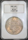 1887 Morgan Silver Dollar $1 - NGC MS64 OLD FATTY HOLDER! STUNNING PASTEL TONING