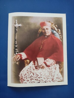 Kardinal Eugenio Alessandro Maria Tosi Holy Card Heiliger mit Gebet 