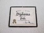 Vintage Barbie: Registered Nurse #991 ~ Diploma
