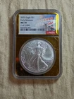 2025 $1 American Silver Eagle NGC MS70 Early Releases, Gold Core Slab, 1 of 2000