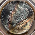 1882-S Morgan Dollar, PCGS MS64, outrageous obv color! DKRC