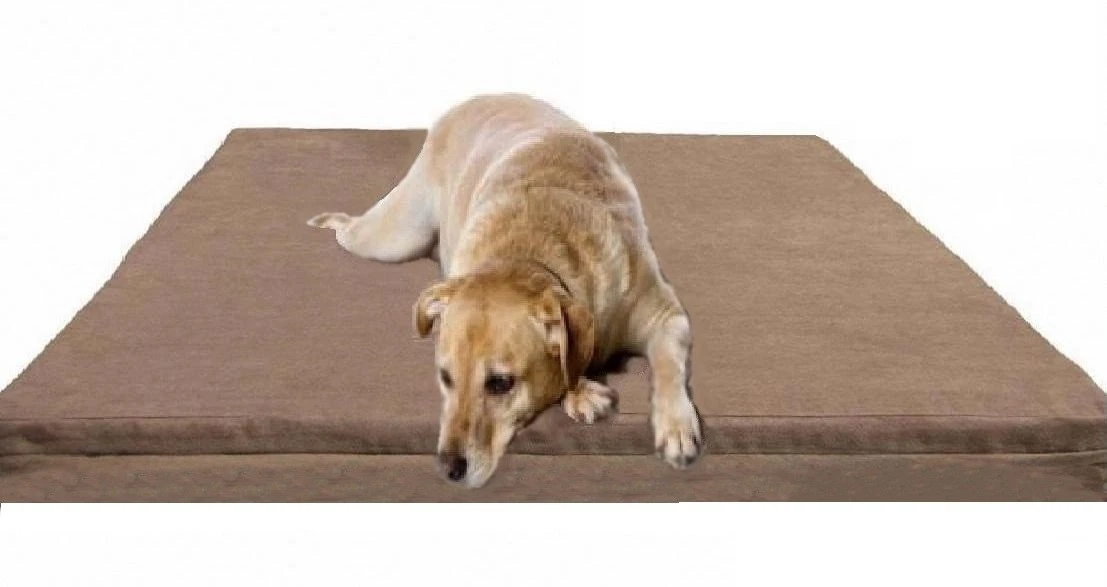 55"X37"X4" XXL Waterproof Orthopedic Gel Cool Memory Foam Dog Bed for Large Pet
