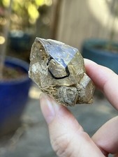 Fenster Elestial Quartz Crystal Point AAA+ Moving Enhydro 38