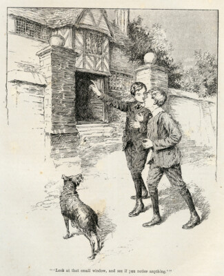 GLATTER BORDER COLLIE SCHÄFERHUND HUND ANTIKER DRUCK GRAVUR 1915 