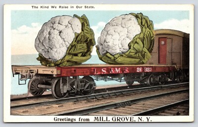 Mill Grove N.Y. Cauliflower Freak Vegetables L.S.&M.S. Train Cattaraugus County